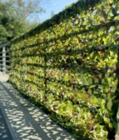 Сетка Focteh Camo Green 21066 (6x6m) фото №3 — интернет-магазин Desire.md