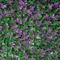 Искусственная изгородь Tenax Divy 3D Buxus Lilac 1x1m
