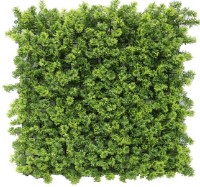 Искусственная изгородь Tenax Greenery Moos Green Light 50x50 (17732M)