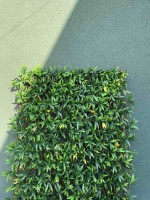 Искусственная изгородь Tenax Willow-Yellow фото №2 — интернет-магазин Desire.md