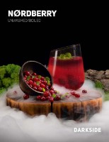 Табак кальянный DarkSide Core Nord B 250g фото №1 — интернет-магазин Desire.md