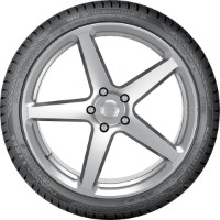Anvelopa Nokian WR Snowproof P 245/45 R17 99V XL imaginea #2 — magazin online Desire.md