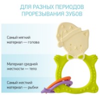 Игрушка-прорезыватель Roxy Kids Meow Green (RMT-003) фото №3 — интернет-магазин Desire.md