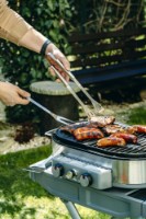 Set ustensile pentru barbeque Adler AD-6730 imaginea #5 — magazin online Desire.md