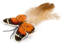 Jucărie pentru pisici Beeztees Butterfly Fligo 8cm Orange (440621)