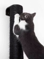 Когтеточка для кошек Petrebels Cat Shelves Climb 1560 Wenge (435320) фото №2 — интернет-магазин Desire.md