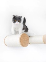 Кошачьи ступеньки из столбиков-когтеточек Petrebels Cat Shelves Horizon 1530 Set (435294) фото №2 — интернет-магазин Desire.md