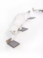Cтупеньки с ковриком-когтеточкой Petrebels Cat Shelves Step 25 Set (435289) фото №2 — интернет-магазин Desire.md