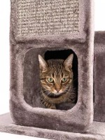 Ansamblu pentru pisici Petrebels Cat Tree Little Rock 99 Cappuccino (431124) imaginea #2 — magazin online Desire.md