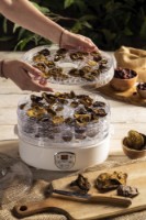 Сушилка для овощей и фруктов Adler CR-6659 фото №8 — интернет-магазин Desire.md