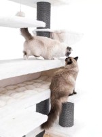 Когтеточка для кошек Petrebels Cat Tree Lookout 198 Off White (431396) фото №4 — интернет-магазин Desire.md