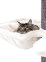 Когтеточка для кошек Petrebels Cat Tree Maine Coon 117 Off White (431462) фото №2 — интернет-магазин Desire.md