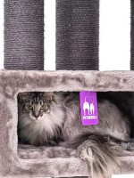 Когтеточка для кошек Petrebels Cat Tree Parklane 131 Cappuccino (431359) фото №2 — интернет-магазин Desire.md