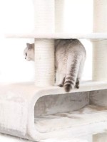 Когтеточка для кошек Petrebels Cat Tree Route 180 Cream (436099) фото №2 — интернет-магазин Desire.md