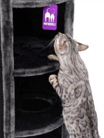 Когтеточка для кошек Petrebels Champions Only Superdome 100 Pepper (431209) фото №2 — интернет-магазин Desire.md