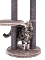 Ansamblu pentru pisici Petrebels Kings & Queens Anna 240 Cappuccino (431192) imaginea #2 — magazin online Desire.md