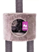 Ansamblu pentru pisici Petrebels Kings & Queens Anna 240 Cappuccino (431192) imaginea #3 — magazin online Desire.md