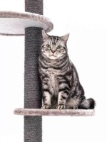 Ansamblu pentru pisici Petrebels Kings & Queens Anna 240 Cappuccino (431192) imaginea #4 — magazin online Desire.md