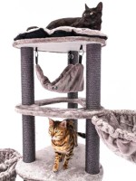 Когтеточка для кошек Petrebels Kings & Queens Catharina 160 Cappuccino (431090) фото №2 — интернет-магазин Desire.md