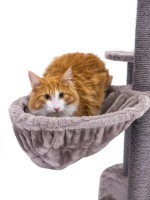 Когтеточка для кошек Petrebels Kings & Queens Charlotte 134 Cappuccino (431183) фото №3 — интернет-магазин Desire.md