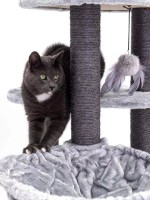 Когтеточка для кошек Petrebels Kings & Queens Charlotte 134 Grey (431182) фото №2 — интернет-магазин Desire.md