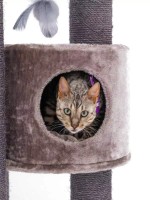 Когтеточка для кошек Petrebels Kings & Queens Charlotte 180 Cappuccino (431186) фото №2 — интернет-магазин Desire.md