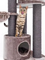 Когтеточка для кошек Petrebels Kings & Queens Charlotte 180 Cappuccino (431186) фото №3 — интернет-магазин Desire.md