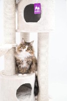 Когтеточка для кошек Petrebels Kings & Queens Charlotte 180 Cream (431342) фото №2 — интернет-магазин Desire.md