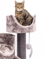 Когтеточка для кошек Petrebels Kings & Queens Victoria 125 Cappuccino (431231) фото №2 — интернет-магазин Desire.md