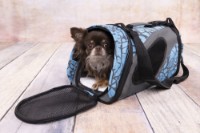 Transport pentru câini și pisici Flamingo Blue L (31390) imaginea #3 — magazin online Desire.md