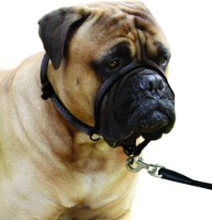 Botniță Flamingo Easy Leader Black L (502598)