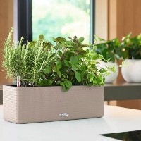 Ghiveci Lechuza Balconissima Color 40 Sand Brown imaginea #3 — magazin online Desire.md