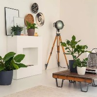 Ghiveci Lechuza Classico Color 18 White imaginea #4 — magazin online Desire.md