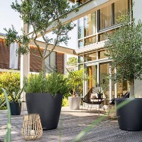 Цветочный горшок Lechuza Classico Color 60 Slate фото №4 — интернет-магазин Desire.md