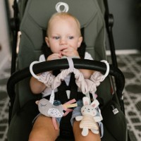 Jucărie pentru pătuturi si carucioare BabyOno Nature (1578) imaginea #2 — magazin online Desire.md