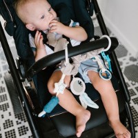 Jucărie pentru pătuturi si carucioare BabyOno Raccoon (1579) imaginea #3 — magazin online Desire.md