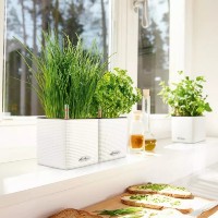 Ghiveci Lechuza Cube Color 14 White imaginea #4 — magazin online Desire.md