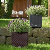 Ghiveci Lechuza Cube Cottage 30 Granite imaginea #4 — magazin online Desire.md