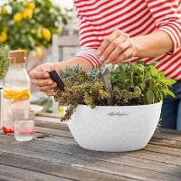 Ghiveci Lechuza Cubeto Color 40 Quartz White imaginea #3 — magazin online Desire.md