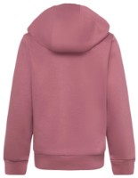 Детская толстовка Adidas J Sl Fc Fl Hd Preloved Crimson, s.140 фото №2 — интернет-магазин Desire.md