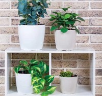 Цветочный горшок M Plastik Анфа М3233 фото №4 — интернет-магазин Desire.md