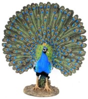 Figurina gradina Figuren Discounter Peacock (13004)
