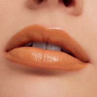 Помада для губ MAC Macximal Sleek Satin Lipstick Call it Cozy фото №3 — интернет-магазин Desire.md