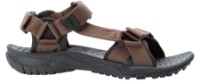 Сандалии детские Jack Wolfskin Lakewood Ride Sandal M Brown, s.39.5