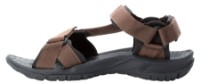 Сандалии детские Jack Wolfskin Lakewood Ride Sandal M Brown, s.39.5 фото №2 — интернет-магазин Desire.md