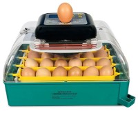 Инкубатор Demetra EU Profi C-24 фото №2 — интернет-магазин Desire.md