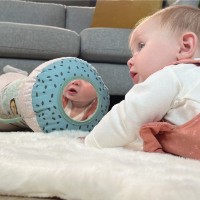 Pernă pentru bebeluși Nuby Roller Animal Adventure (ID89071) imaginea #4 — magazin online Desire.md