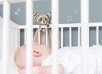 Plapumă pentru bebeluși Zazu Robin (ZA-ROBIN-01 A) imaginea #3 — magazin online Desire.md