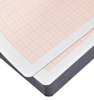 Blocnotes Nuuna Graphic L Millimeter imaginea #2 — magazin online Desire.md