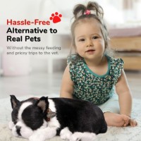Интерактивная игрушка Perfect Petzzz Boston Terrier 91-35 фото №4 — интернет-магазин Desire.md